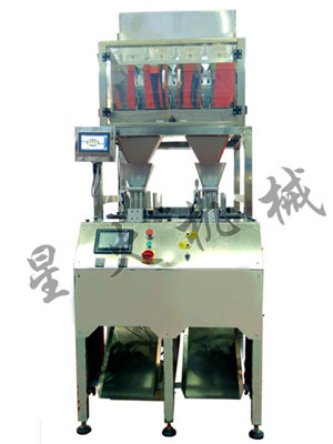 雙工位給袋（dài）式包裝機（jī）