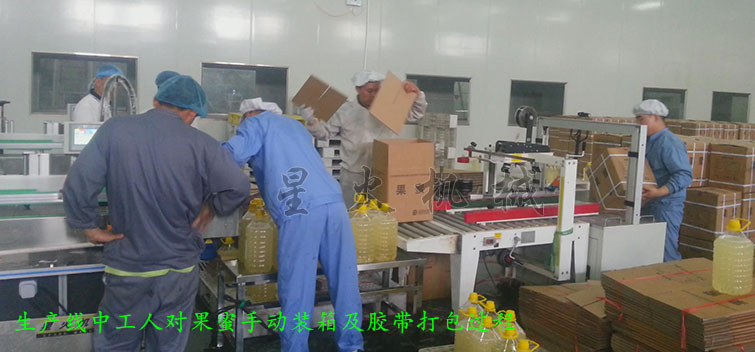 消防粉(fěn)灌裝生產線,全自動粉末灌(guàn)裝生產線