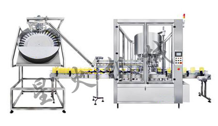 XG-10BG 泵蓋旋蓋(gài)機